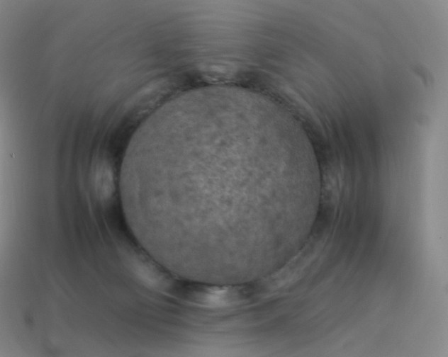 X0000114090130200910191611