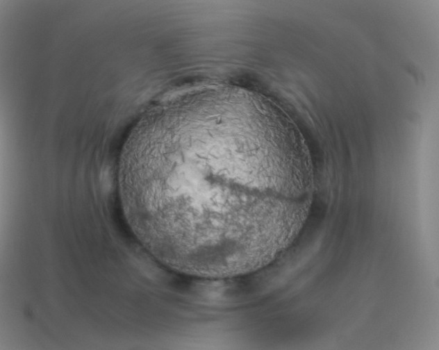 X0000114090131200910191611