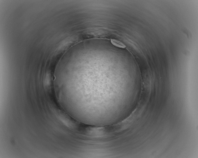 X0000114090132200910191611