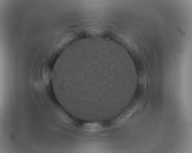 X0000114090133200910191611