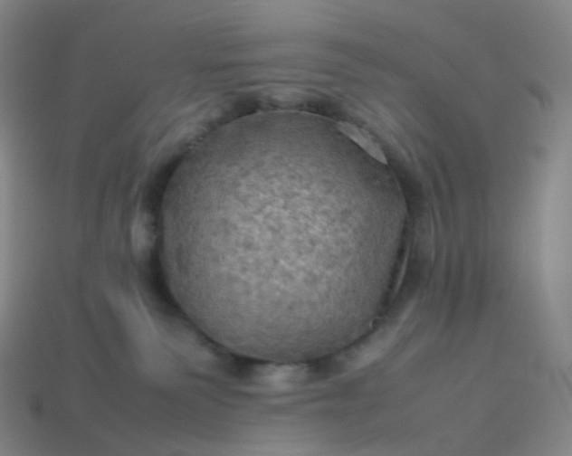 X0000114090135200910191611