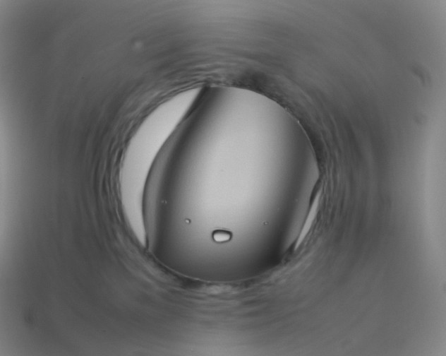 X0000114090137200910191611