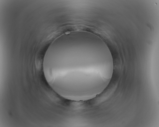 X0000114090139200910191611