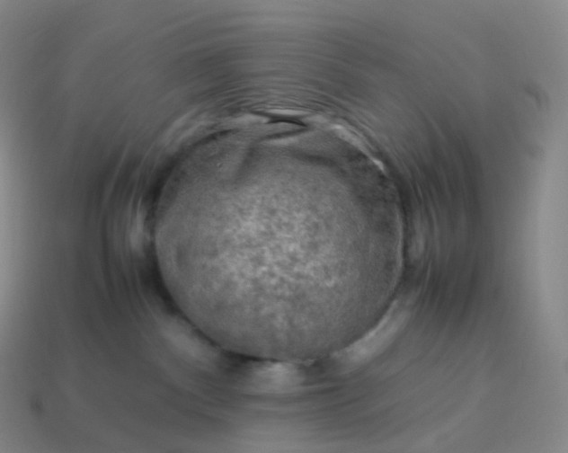X0000114090140200910191611