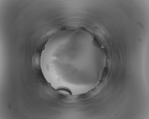 X0000114090143200910191611