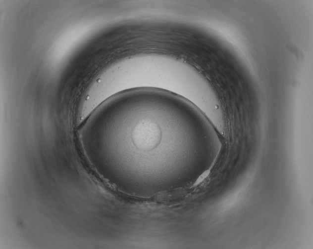 X0000114090146200910191610