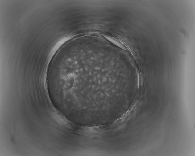 X0000114090147200910191610