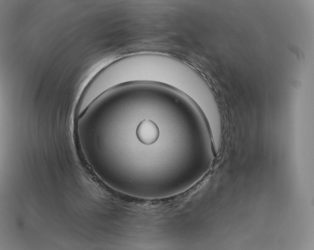 X0000114090148200910191610
