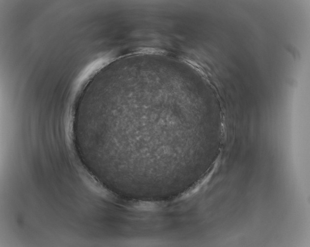 X0000114090149200910191610