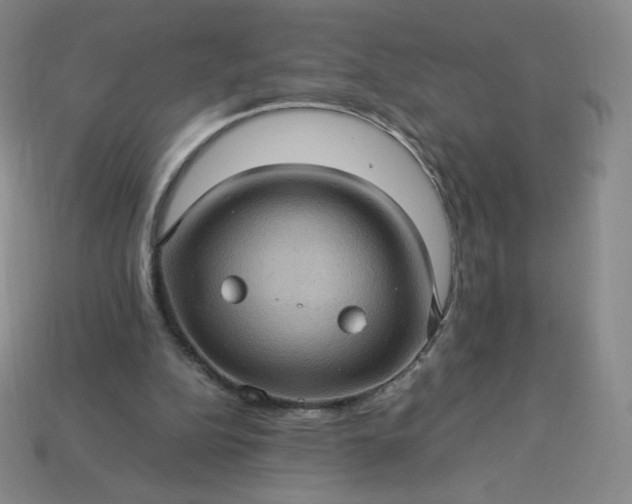 X0000114090152200910191610