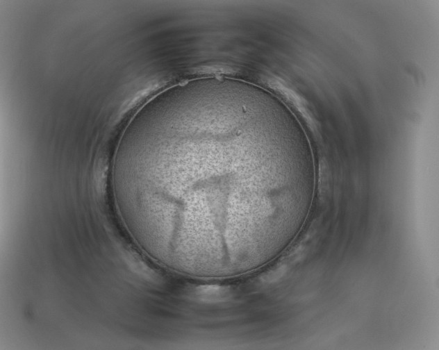X0000114090153200910191610
