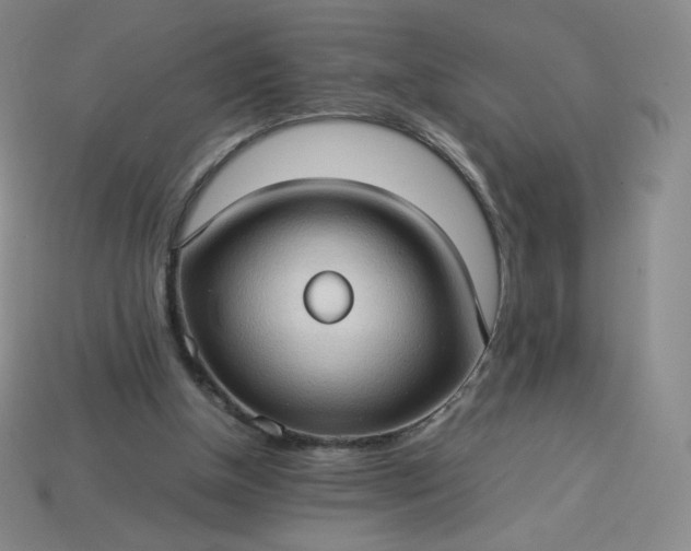 X0000114090154200910191610