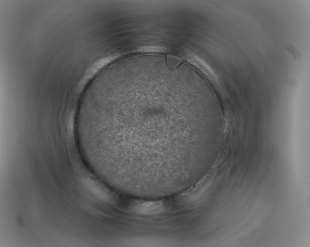 X0000114090155200910191610