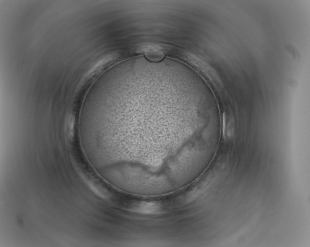 X0000114090157200910191610