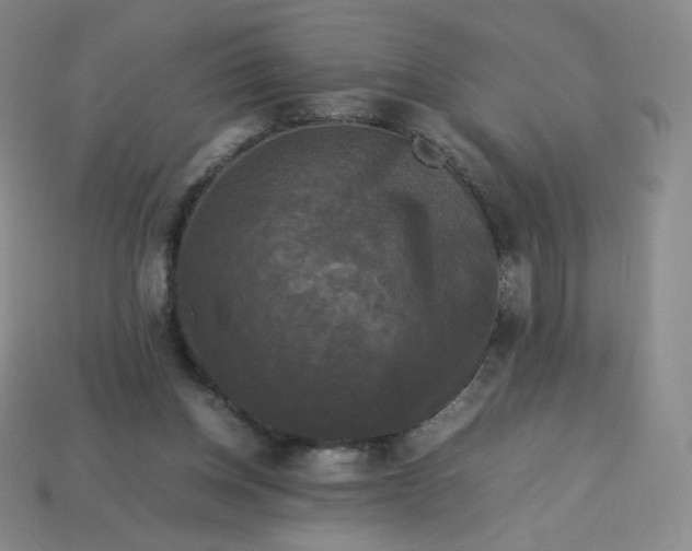 X0000114090158200910191610