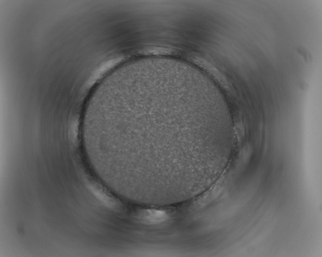 X0000114090159200910191610