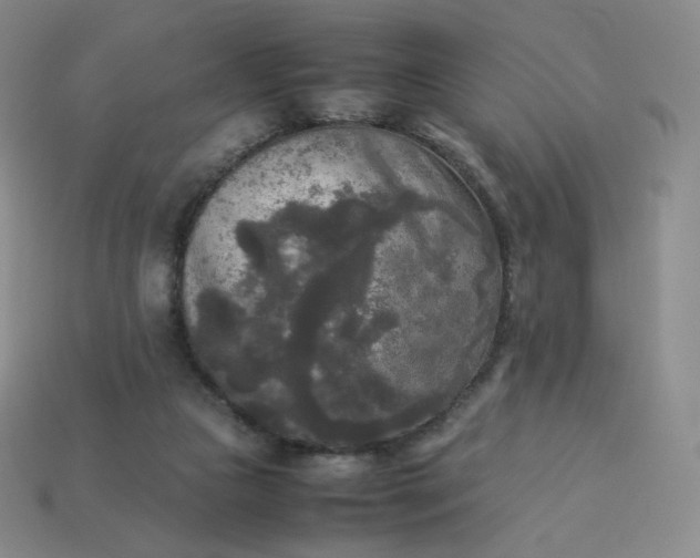 X0000114090161200910191610