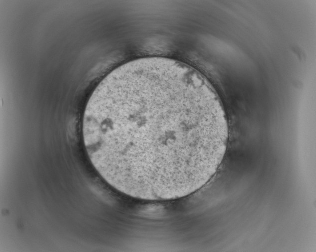 X0000114090162200910191611