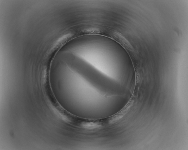 X0000114090163200910191611