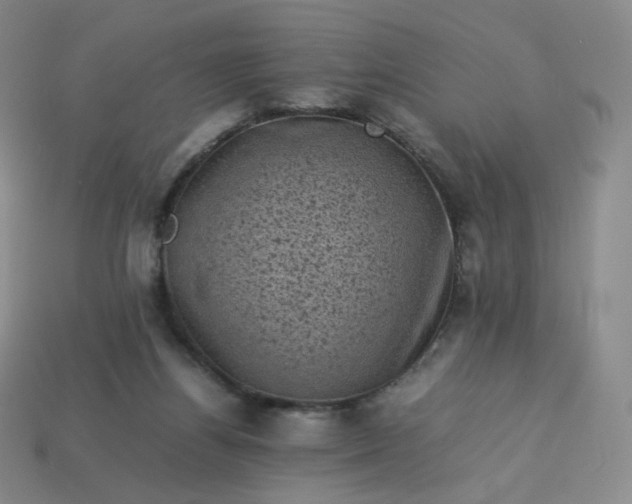 X0000114090164200910191611
