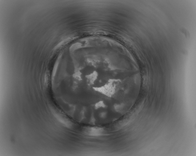 X0000114090165200910191611