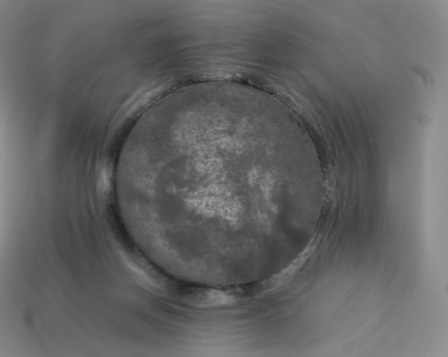 X0000114090166200910191611