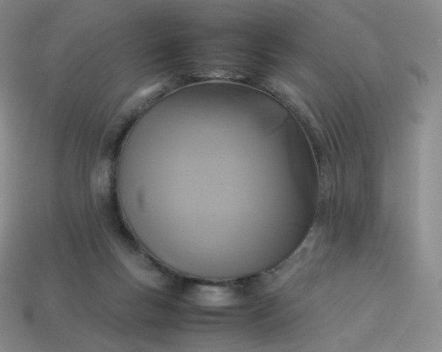 X0000114090167200910191611