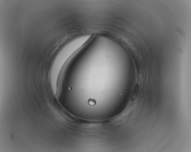 X0000114090168200910191611