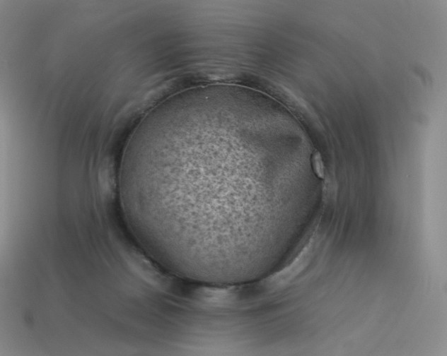 X0000114090170200910191611