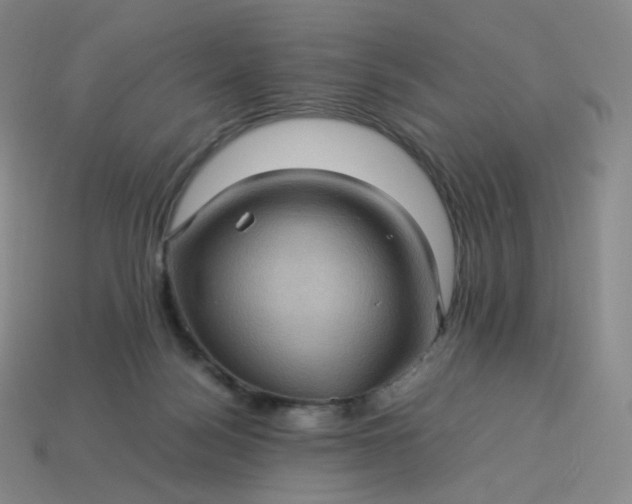 X0000114090172200910191611