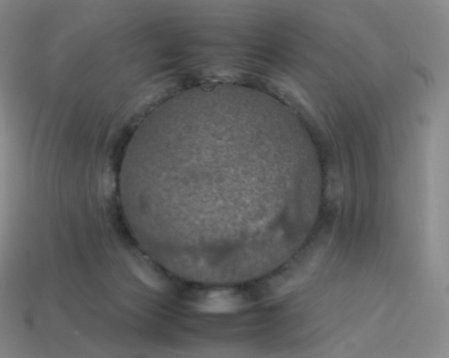 X0000114090173200910191611
