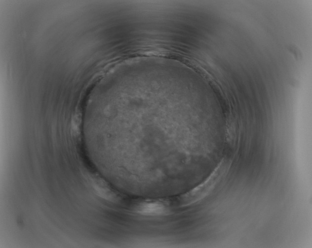 X0000114090175200910191611