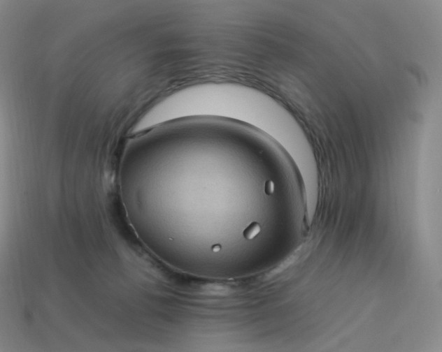 X0000114090176200910191611