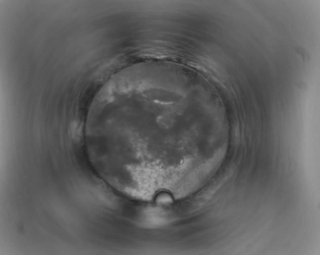 X0000114090177200910191611