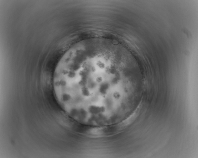X0000114090178200910191611