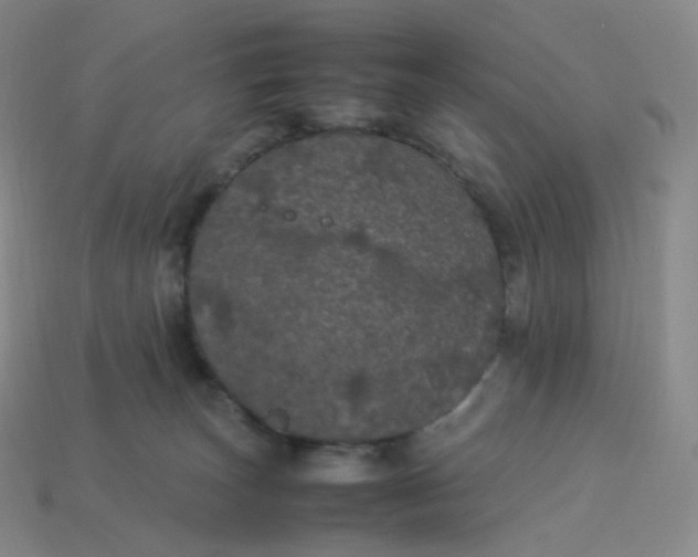 X0000114090179200910191611