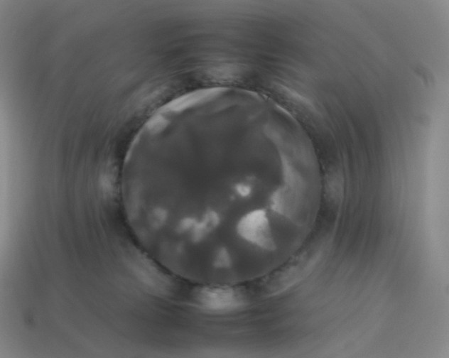X0000114090181200910191611