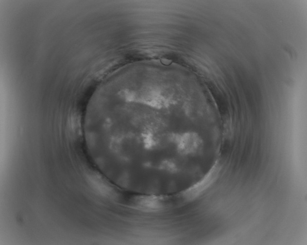 X0000114090182200910191611
