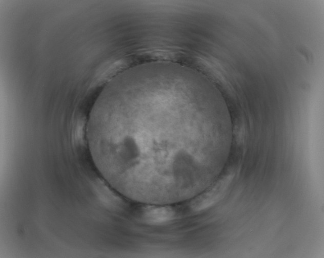 X0000114090185200910191611