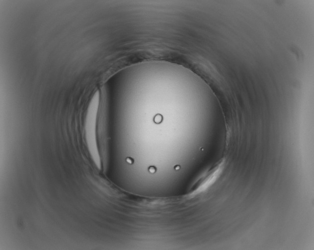 X0000114090186200910191611