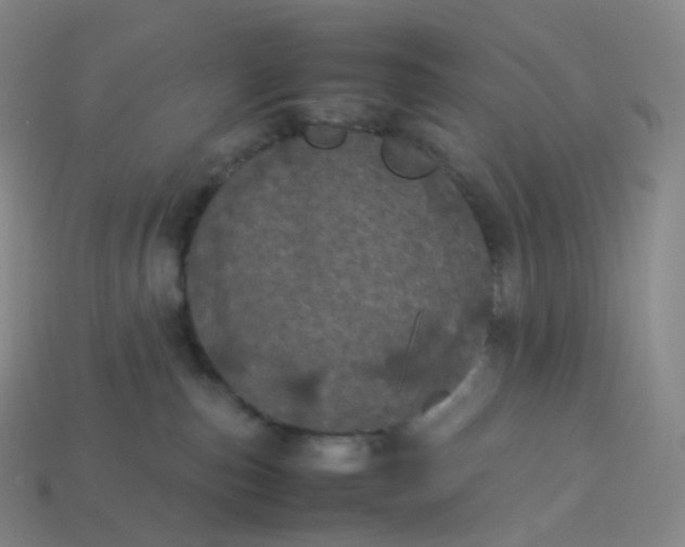 X0000114090187200910191611