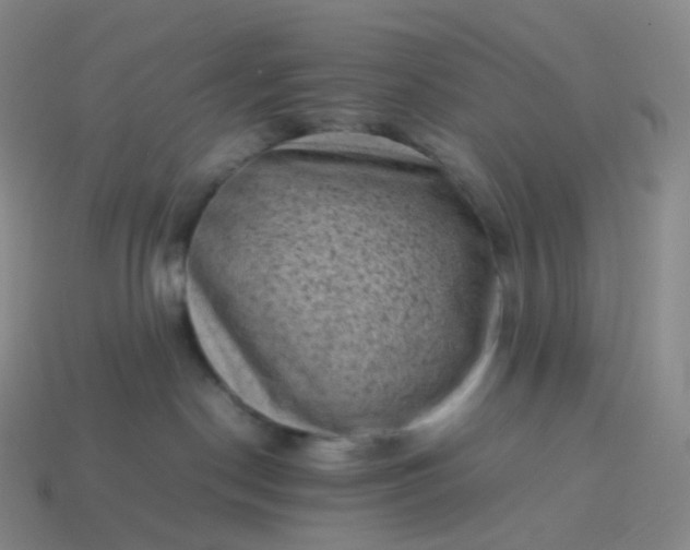 X0000114090190200910191611