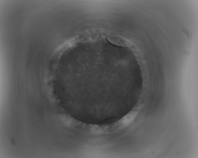 X0000114090192200910191611