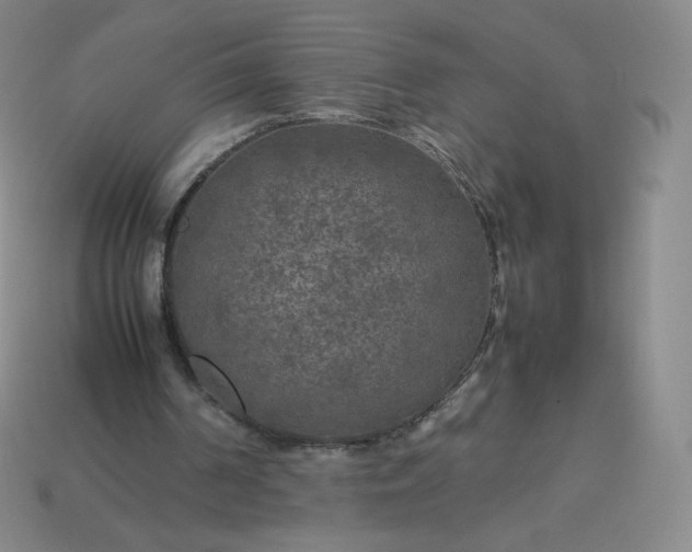 X0000114090194200910191610