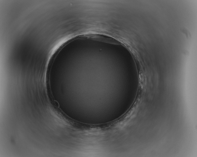 X0000114090196200910191610