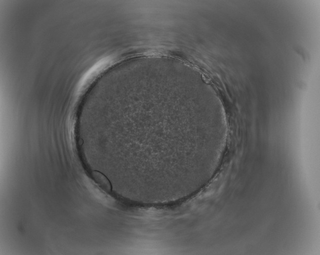 X0000114090197200910191610