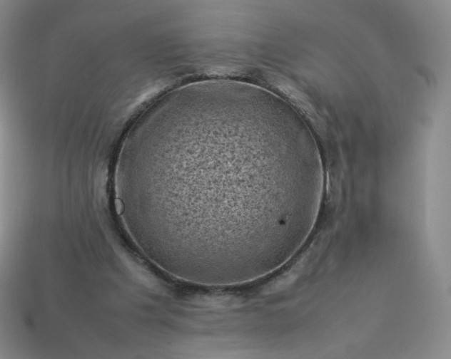 X0000114090201200910191610