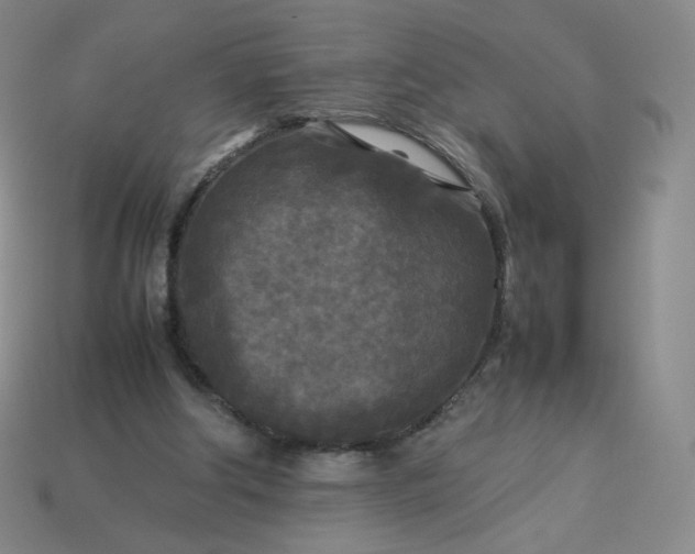 X0000114090202200910191610