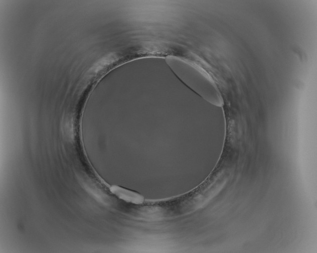 X0000114090203200910191610