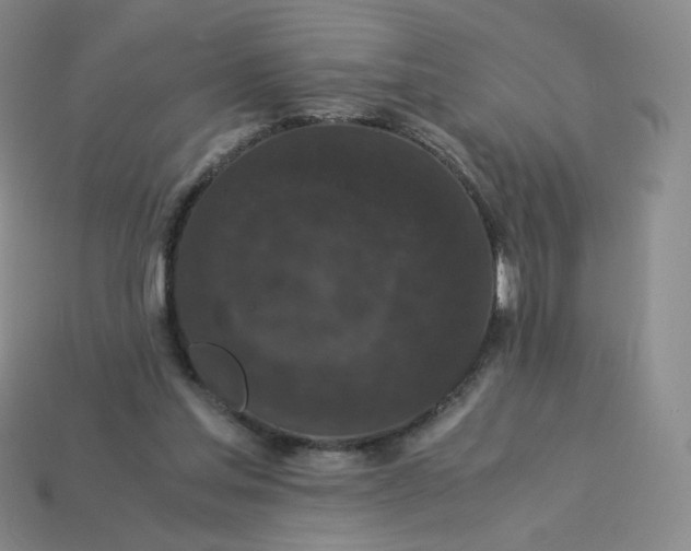 X0000114090205200910191610